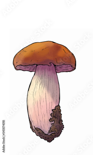 Mushroom