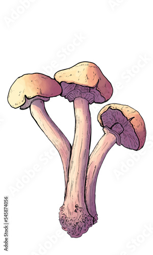 Tiny mushroom