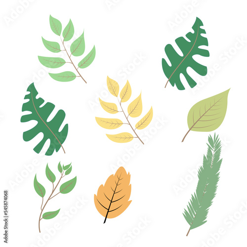 set of leaf ilustration