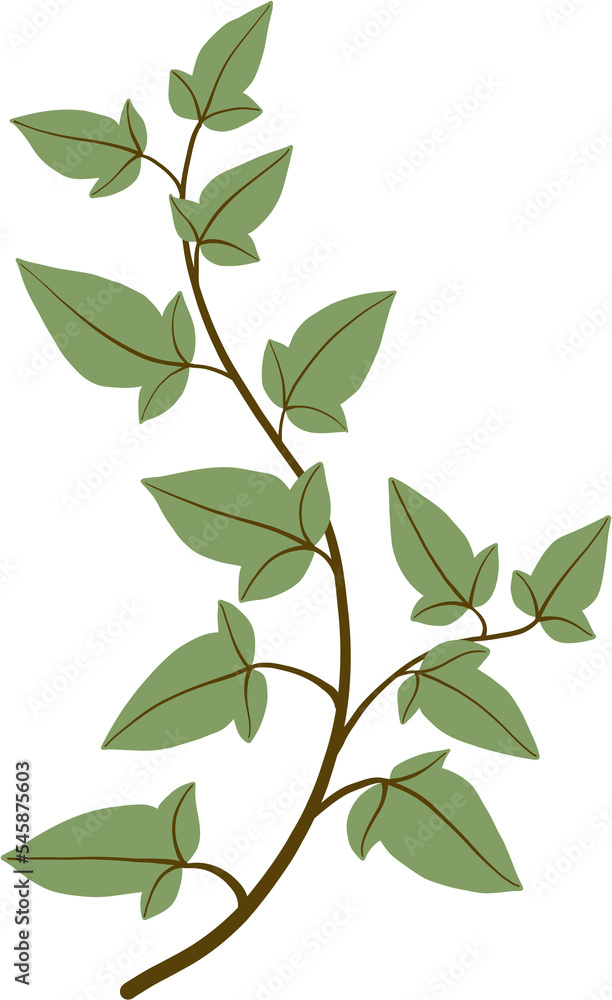 Simplicity ivy freehand drawing