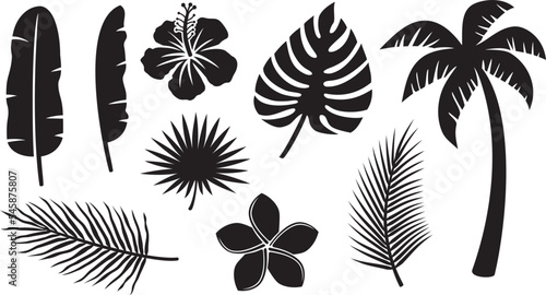 Tropical Plants Icons Collection (Hibiscus, Banana Leaf, Palm Tree,  Monstera, Frangipani Flower). Vector Illustration. 