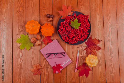 Fototapeta Naklejka Na Ścianę i Meble -  Still life with pumpkin - Pattinson. A notebook with a fountain pen.Red viburnum berry, cranberry.Chicory root.Nuts. Autumn maple leaves.On a wooden background. food..the concept of fresh vegetables.	