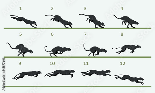 Animation cycle of a black panther. Predator run cycle. Twelve key frames.