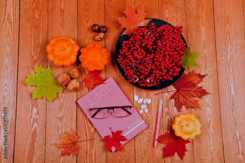 Still life with pumpkin - Pattinson. A notebook with a fountain pen.Red viburnum berry, cranberry.Chicory root.Nuts. Autumn maple leaves.On a wooden background. food..the concept of fresh vegetables.
 photo