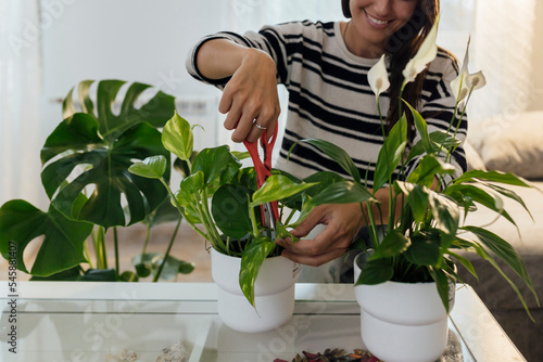 Smiling woman cutting plant leaf with scissors at home