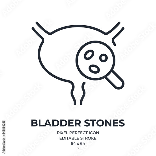Bladder stones editable stroke outline icon isolated on white background flat vector illustration. Pixel perfect. 64 x 64.
