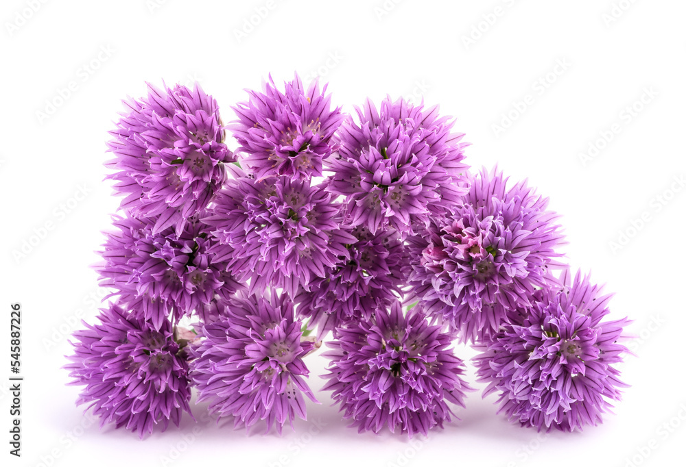 Chives  Flowers bouquet