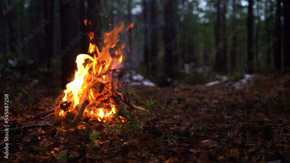 Campfire in the forest in slow motion. Beautiful landscape of nature and trees. Sparks and flames. Rest by the fire. Camping in the woods. Burning firewood. Evening bonfire. Campfire in the forest in slow motion. Beautiful landscape of nature and trees. Sparks and flames. Rest by the fire. Camping in the woods. Burning firewood. Evening bonfire.
