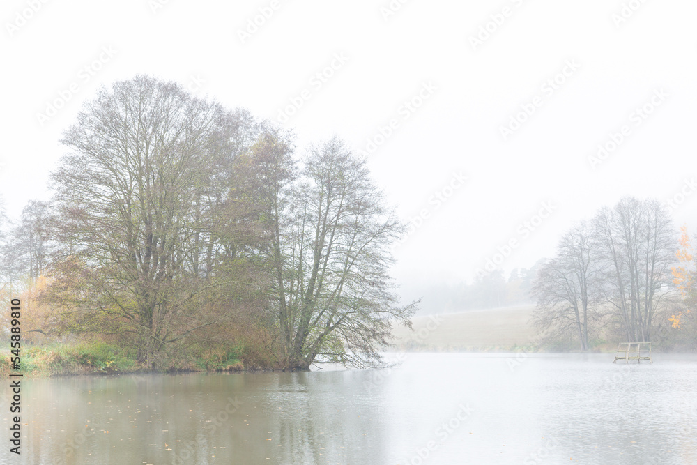 Foggy morning on the lake. Autumn landscape. Foggy morning on the lake. Autumn landscape.