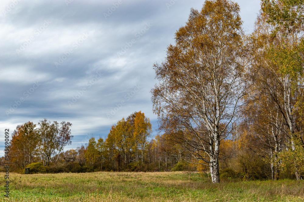 Fields and forests in cloudy, autumn weather. Late fall. Europe.