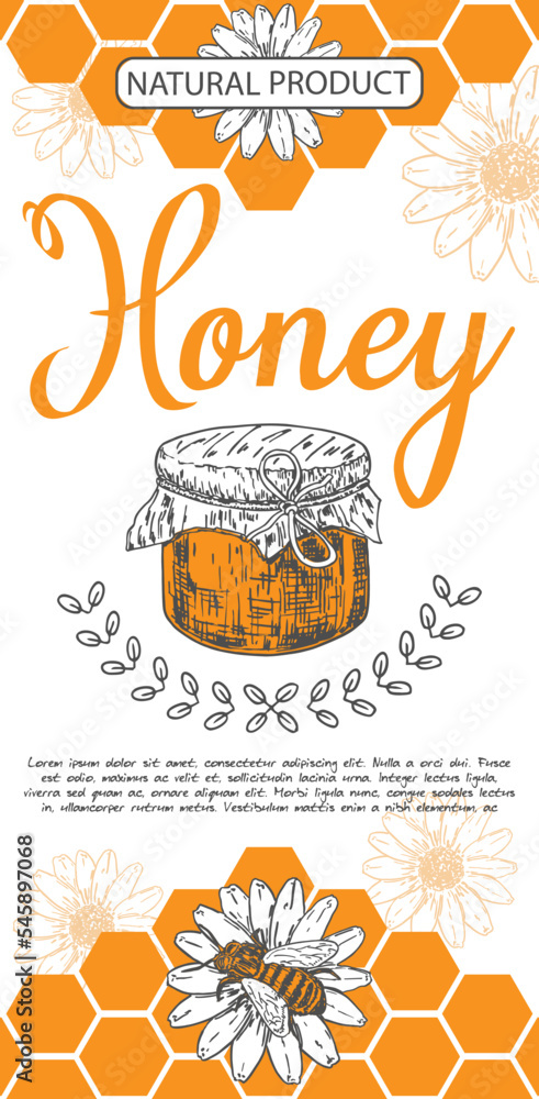 Honey flyer natural product hand drawn vector