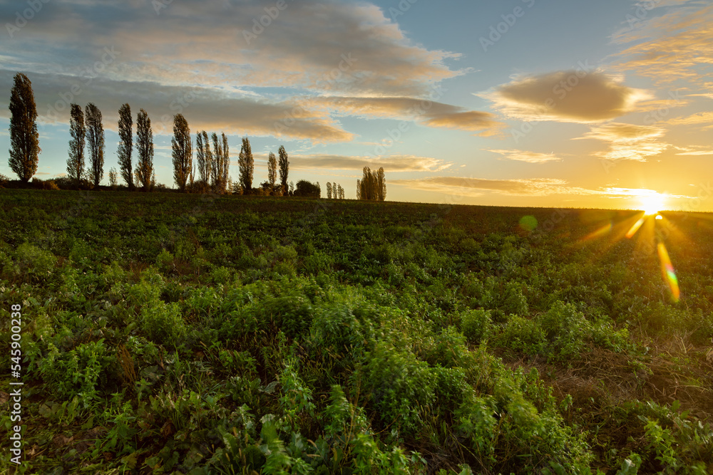 A spectacular sunrise with sunbeams over the rolling hills in an Italian landscape with the typical Tuscan Poplar trees. This landscape can also be found in the Netherlands