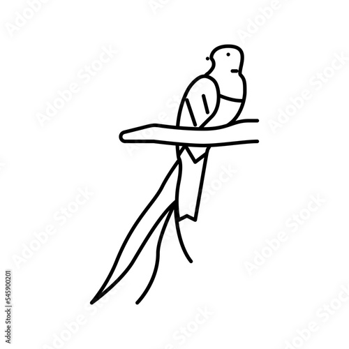 quetzal bird exotic line icon vector illustration