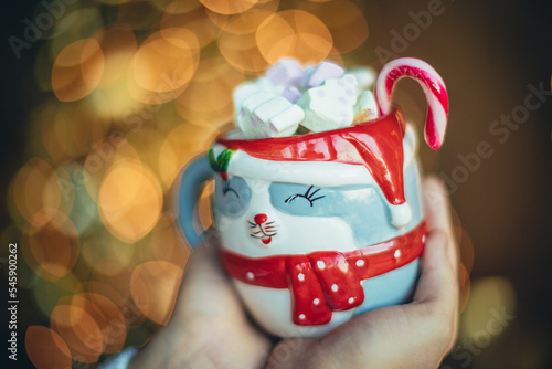 Christmas Marshmallow cocoa cup cozy 