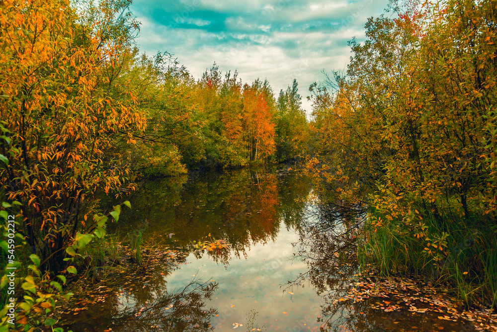 Autumn natural landscape near the forest river