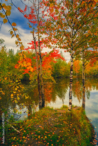 Autumn natural landscape near the forest river