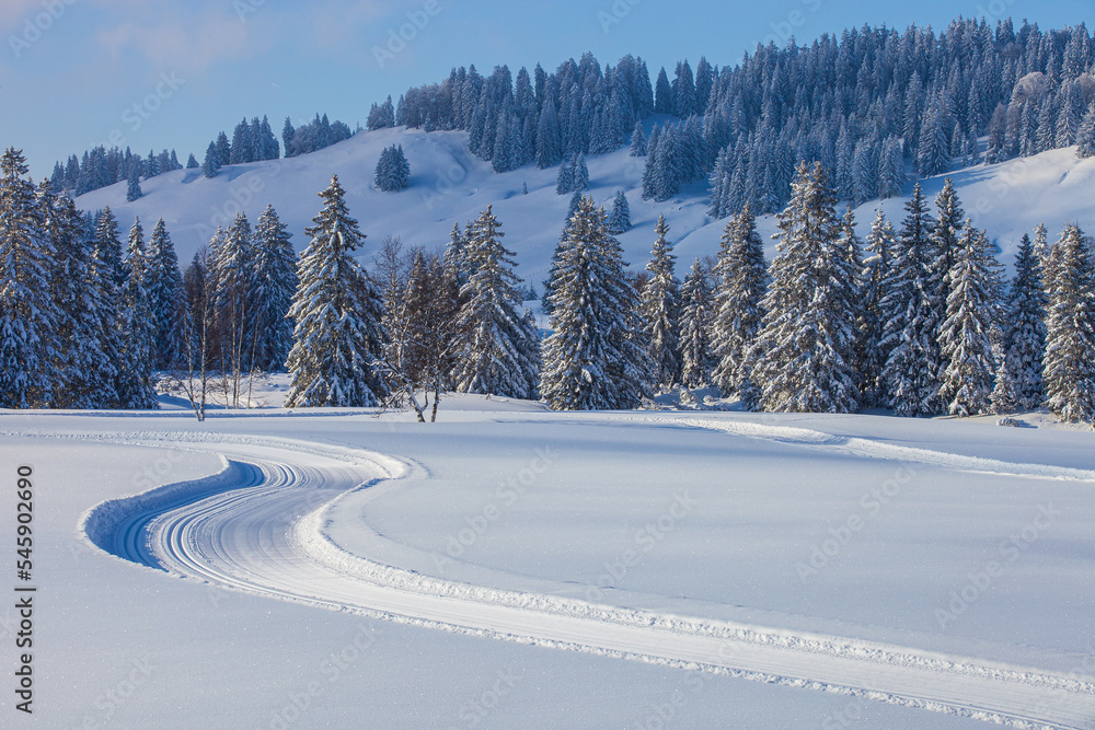 Fototapeta premium Winter_0249