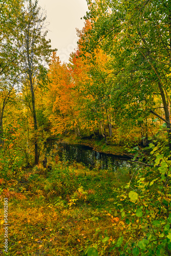 In early autumn near a forest arable river