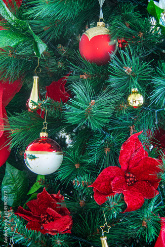 christmas decoration with red poinsettia