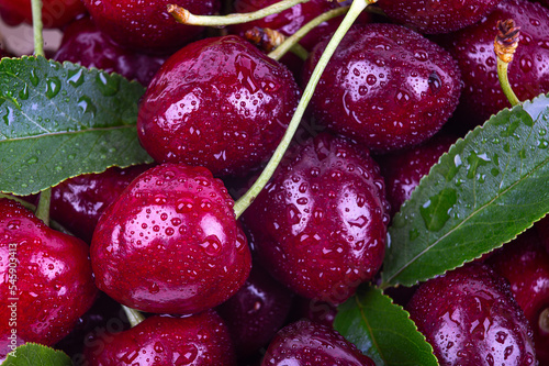 Background of ripe cherries in drops of water