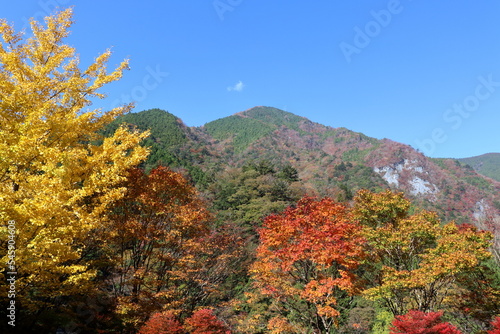高の瀬峡 駐車場からの景観 秋 （徳島県）