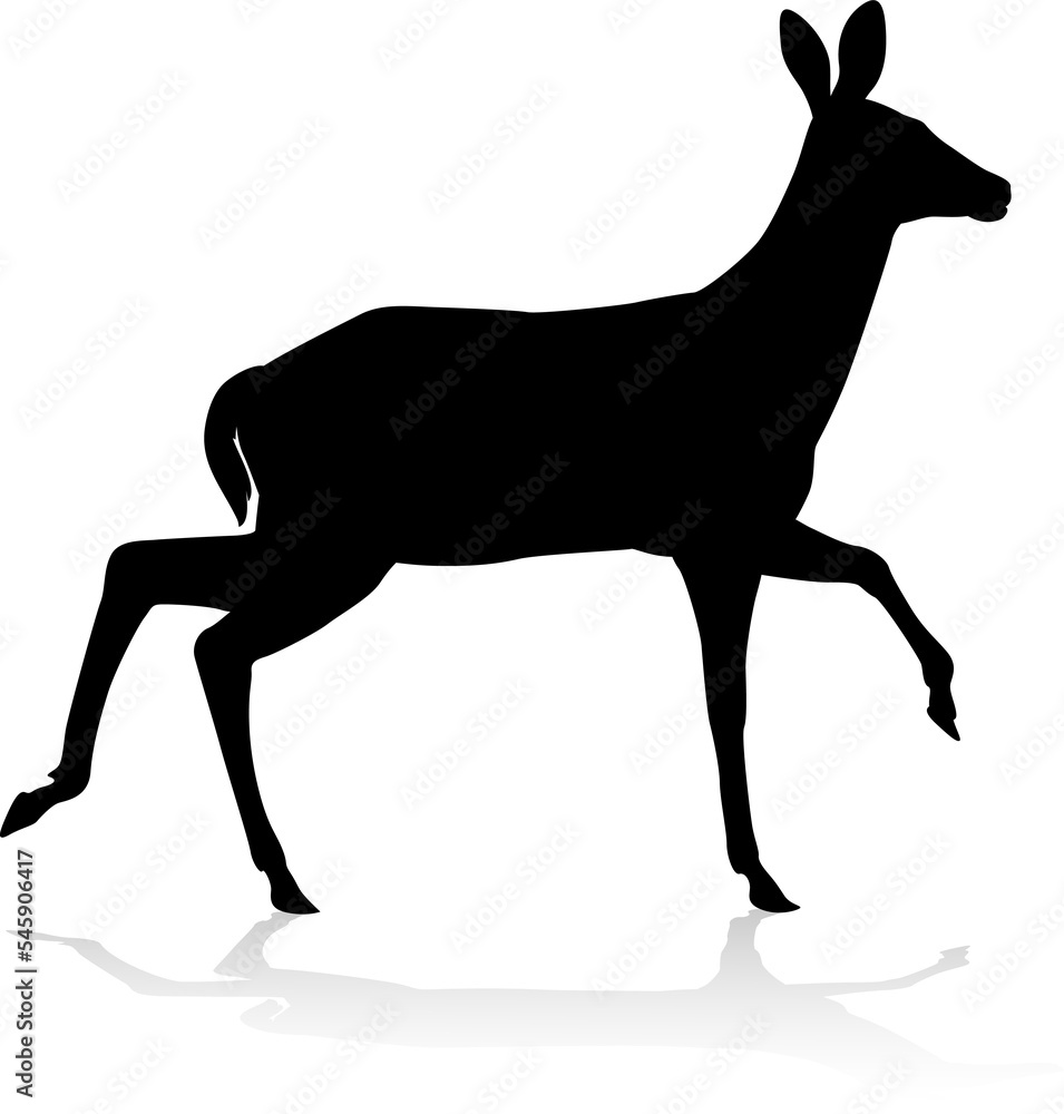 Fototapeta premium Deer Animal Silhouette