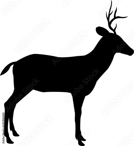 Deer Animal Silhouette