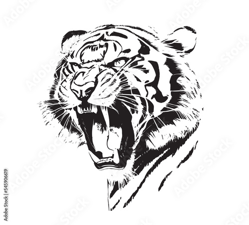 Angry tiger head with roaring mouth hand drawn sketch engraving style vector illustration