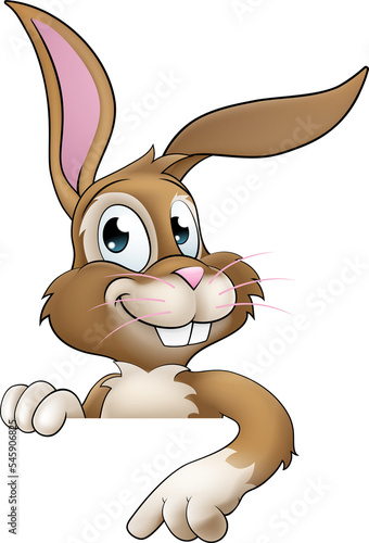 Easter Bunny Rabbit Cartoon...