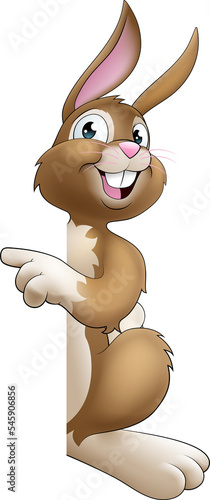 Easter Bunny Rabbit Cartoon...