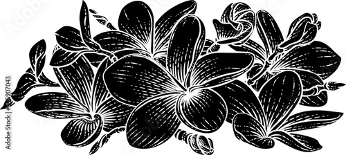 Plumeria Frangipani Tropica...