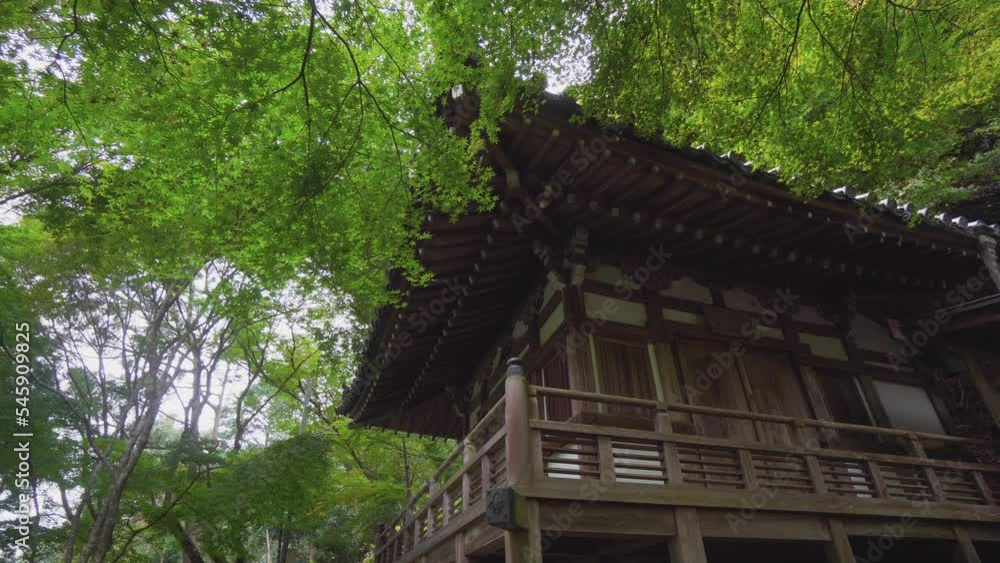 The design of the constructions in the Buddhist temples are entirely made of wood, built with surprising mastery. The design of the constructions in the Buddhist temples are entirely made of wood, built with surprising mastery.