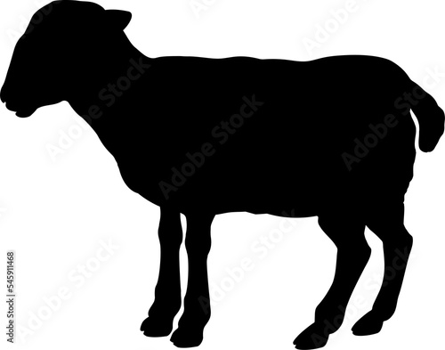 Sheep Farm Animal Silhouette photo