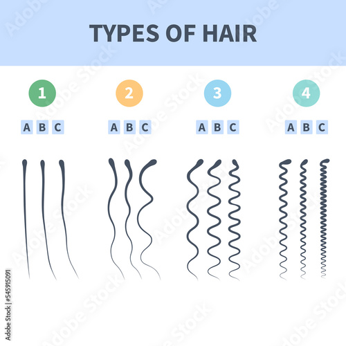 Straight, wavy, curly, kinky hair types classification system set. Detailed human hair growth style chart. Health care and beauty concept. Vector illustration.