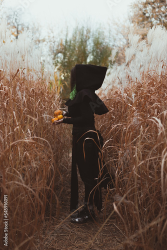 Lady in black apparel scenic photography. Gothic wear. Picture of woman with autumn field on background. High quality wallpaper. Photo concept for ads, travel blog, magazine, article