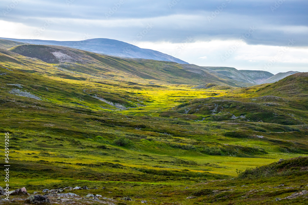 rugged landscape of northern norway, varanger regionalpark near vardo, arctic landscape of norway near nordkapp; green hills and moss-covered rocks