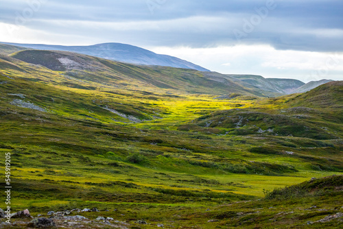 rugged landscape of northern norway, varanger regionalpark near vardo, arctic landscape of norway near nordkapp  green hills and moss-covered rocks © Jakub