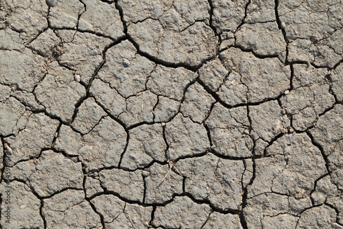 dry cracked earth