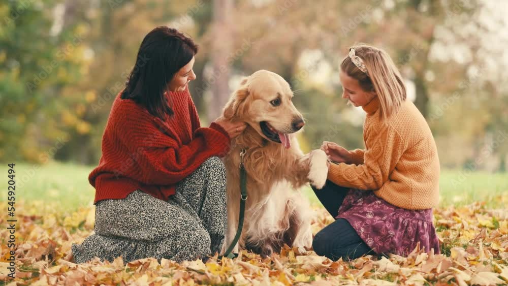Mother and daughter having fun with golden rertriever dog in autumn park. Happy family training and playing with dog outdoors. Mother and daughter having fun with golden rertriever dog in autumn park. Happy family training and playing with dog outdoors.