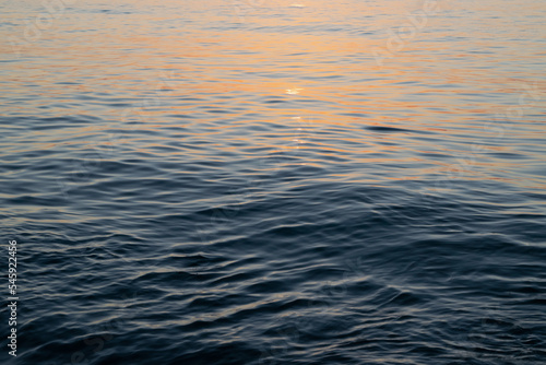 reflection in water