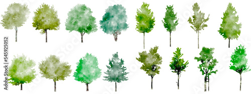 Vector set of watercolor style architectural hand drawn rough tree illustrations