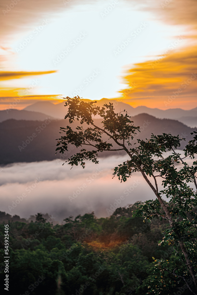 sunrise over the mountain with misty sea and tree sunrise over the mountain with misty sea and tree