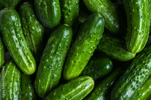 Fresh green cucumbers. Texture pattern background green cucumbers. Image fresh green cucumbers
