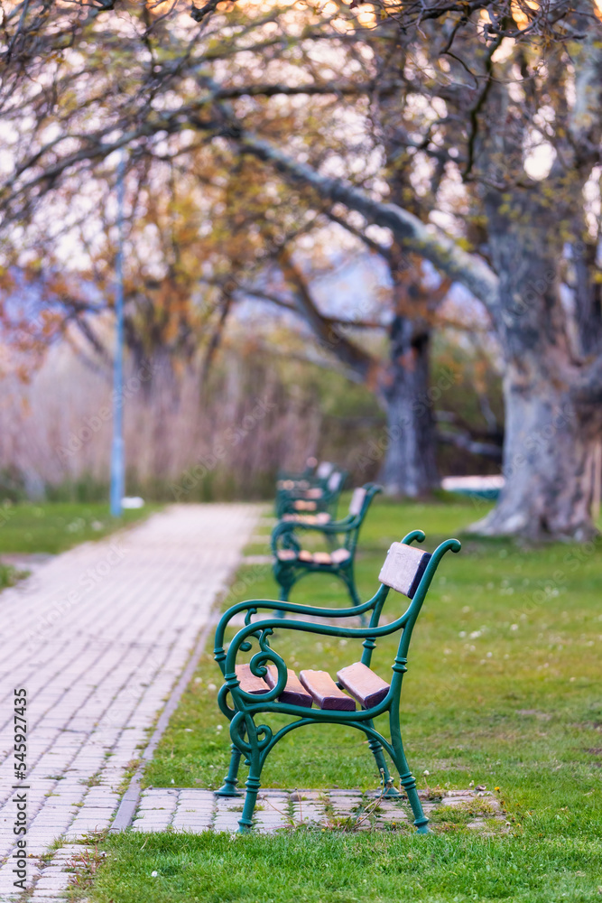 Empty bench in the autumn park in village Szigliget of Hungary.