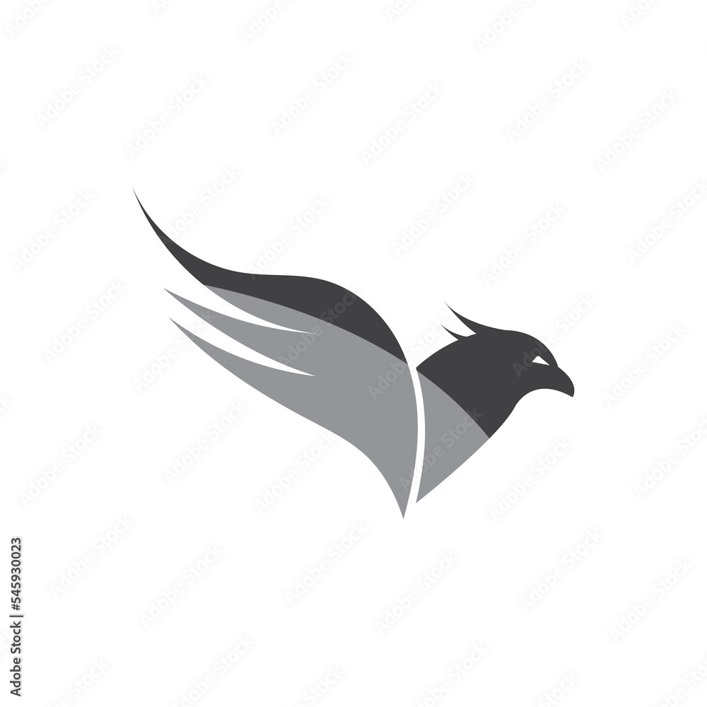 Falcon Eagle Logo Template vector illustration design