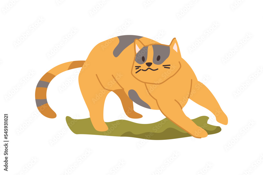 Cat life and routine, isolated kitten running outdoors. Playful feline ...