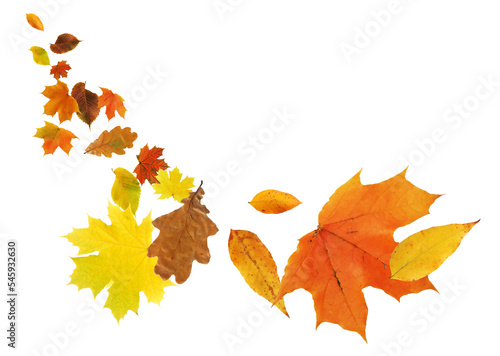 Autumn Leaves Background