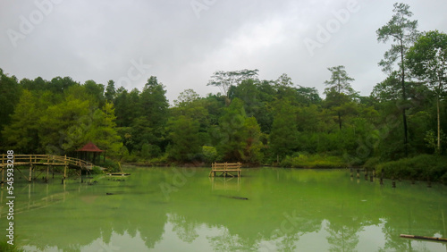 Hot spring lake with green trees