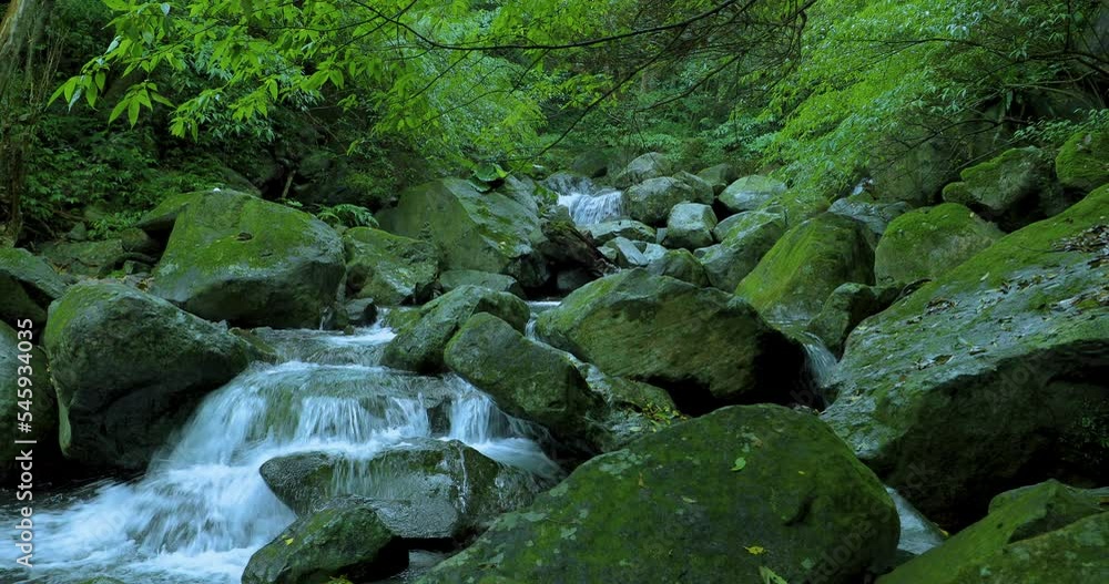 In the emerald valley flows a cool and clear stream