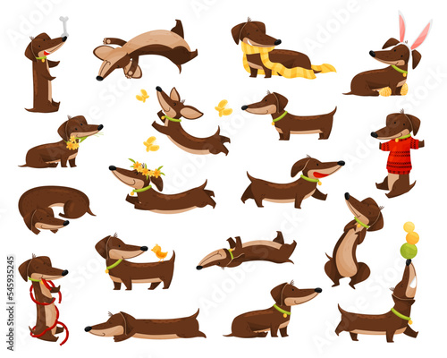 Cute Dachshund Dog Breed Engaged in Different Activity Big Vector Set